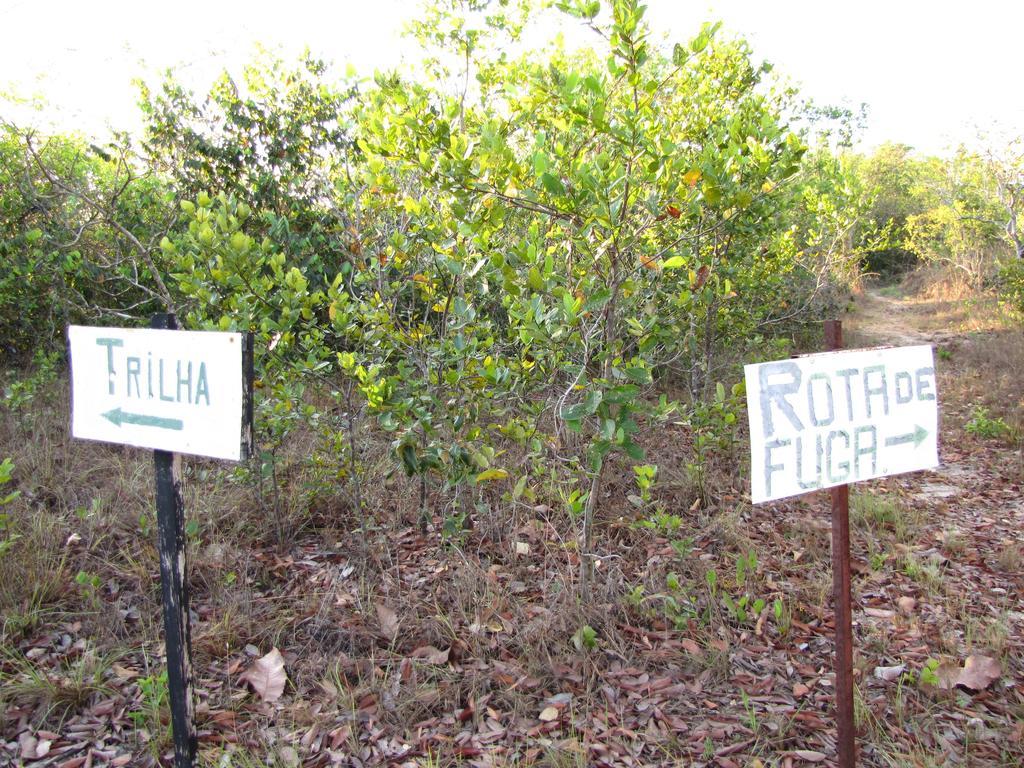 Hotel Fazenda Arara Azul Carolina  Eksteriør billede