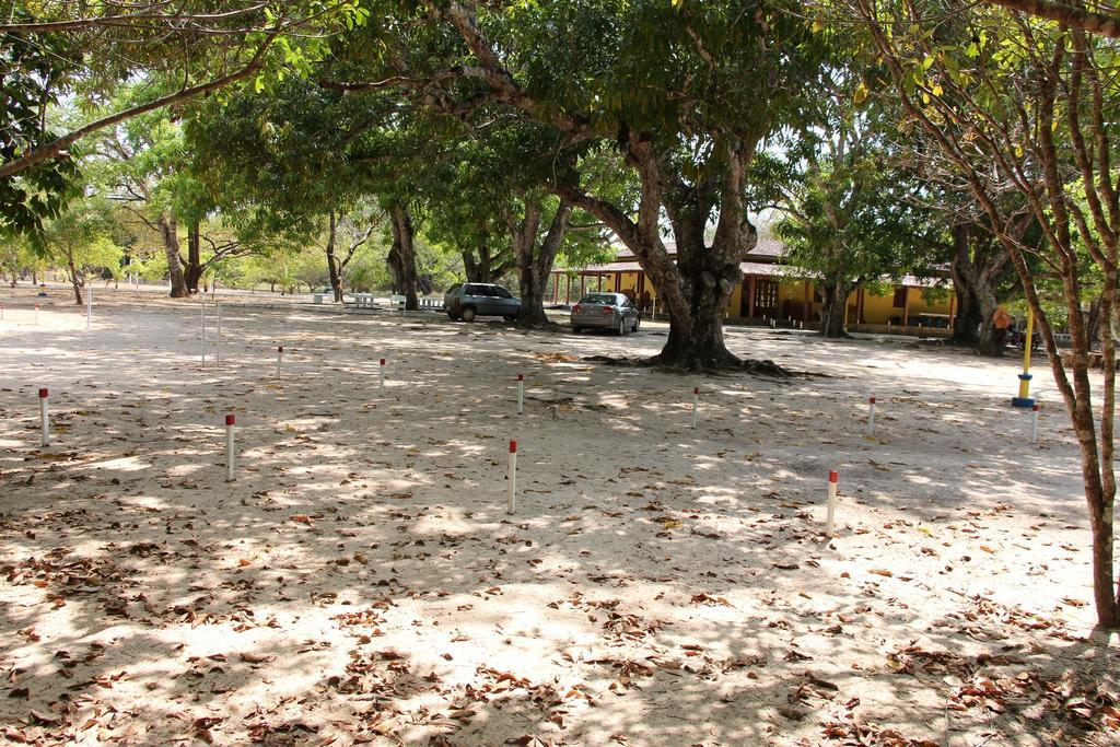 Hotel Fazenda Arara Azul Carolina  Eksteriør billede