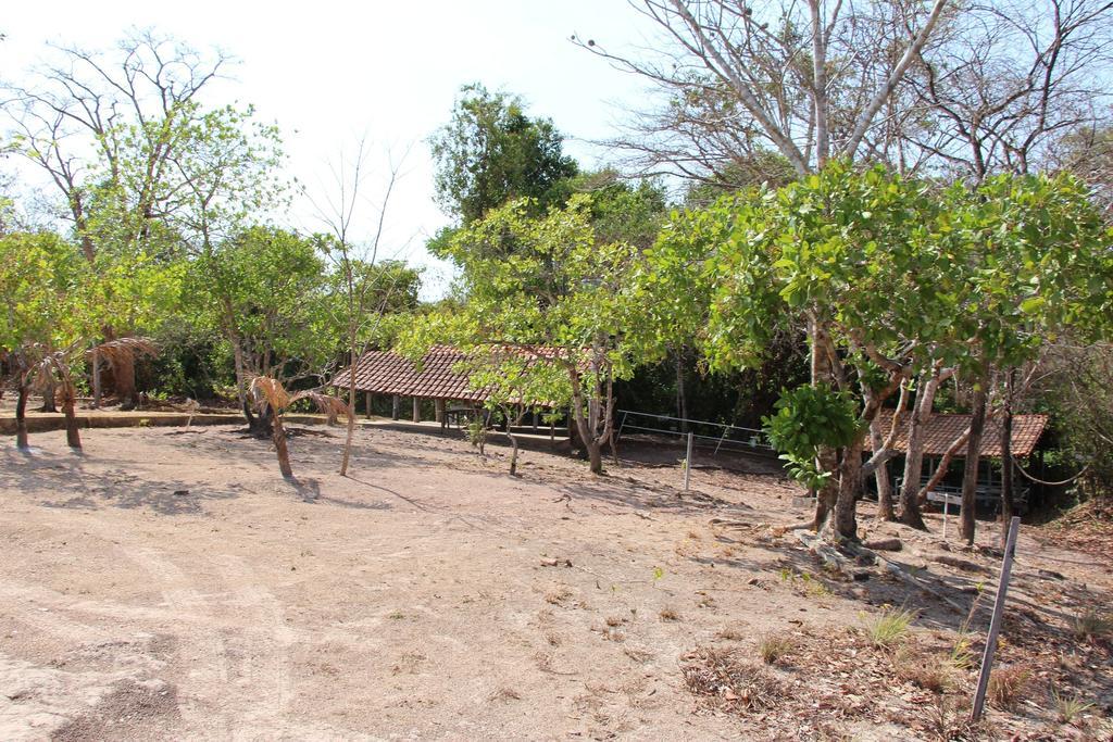 Hotel Fazenda Arara Azul Carolina  Eksteriør billede