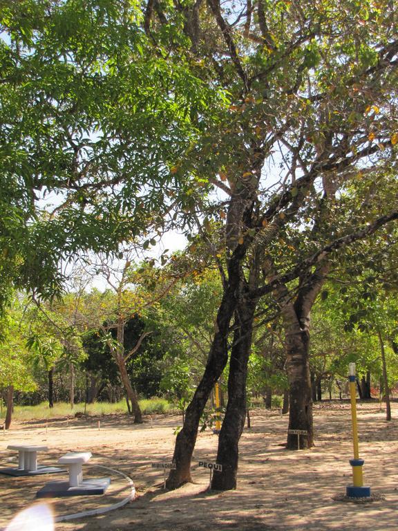 Hotel Fazenda Arara Azul Carolina  Eksteriør billede